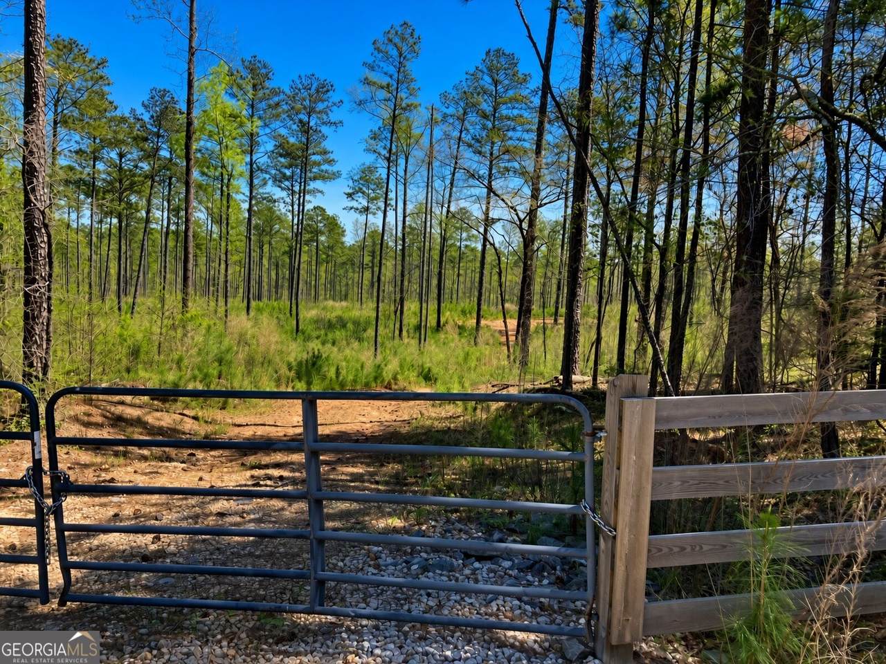 2920 Airline Road - Photo 1