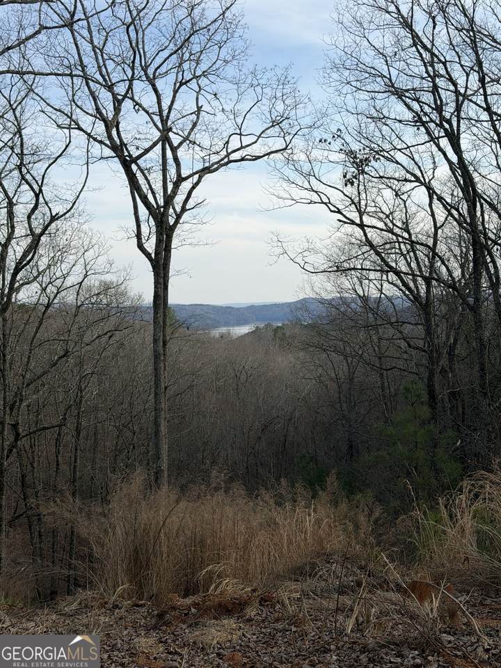 439 Buck Creek Road - Photo 1