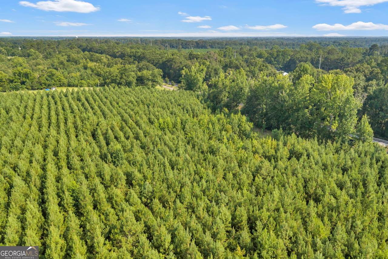 ALLEN LOT Turkey Creek Road - Photo 1