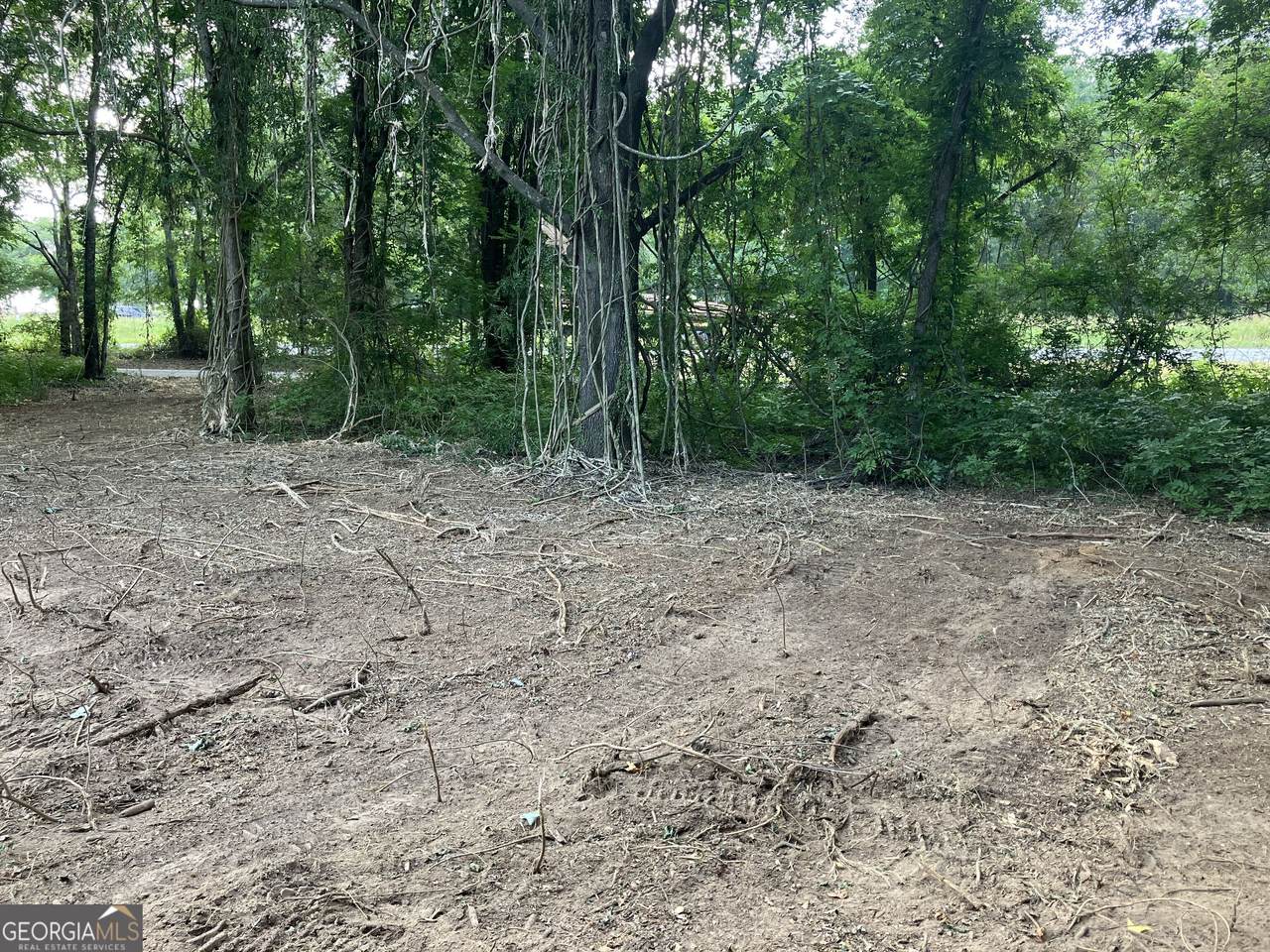 0 Durand Highway - Photo 1