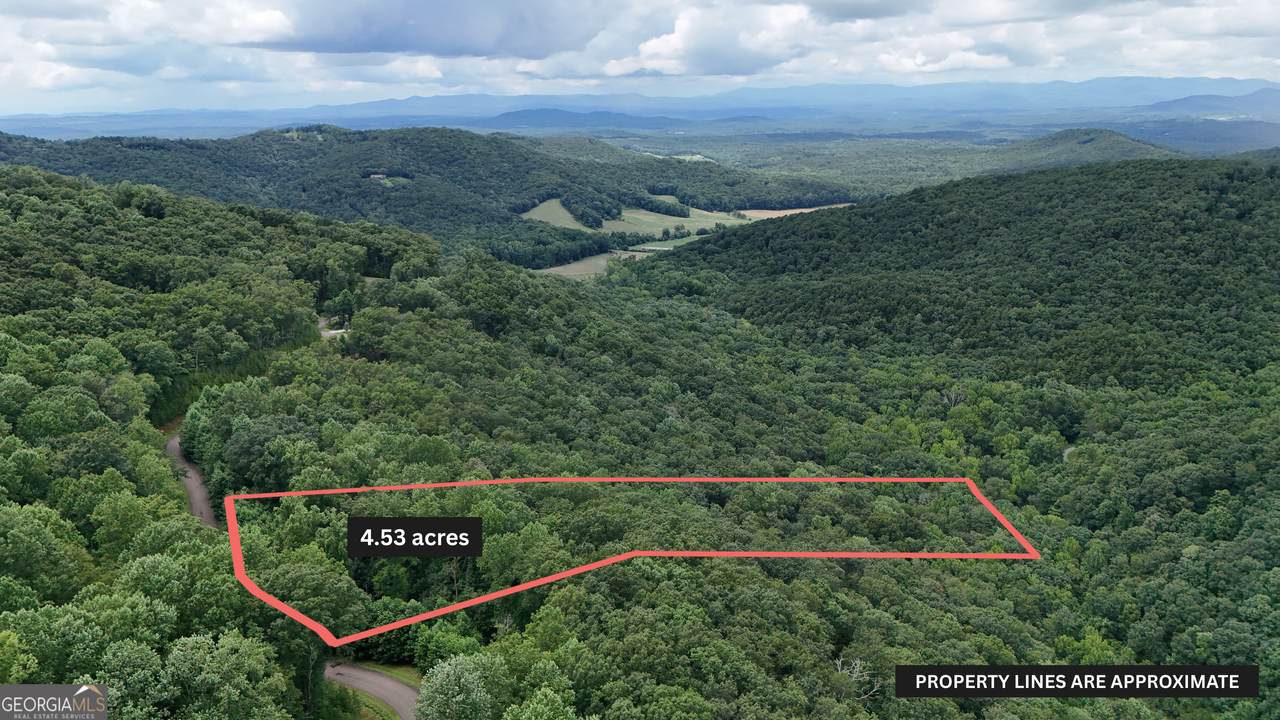 LOT 253 Stone Cliff Drive - Photo 1