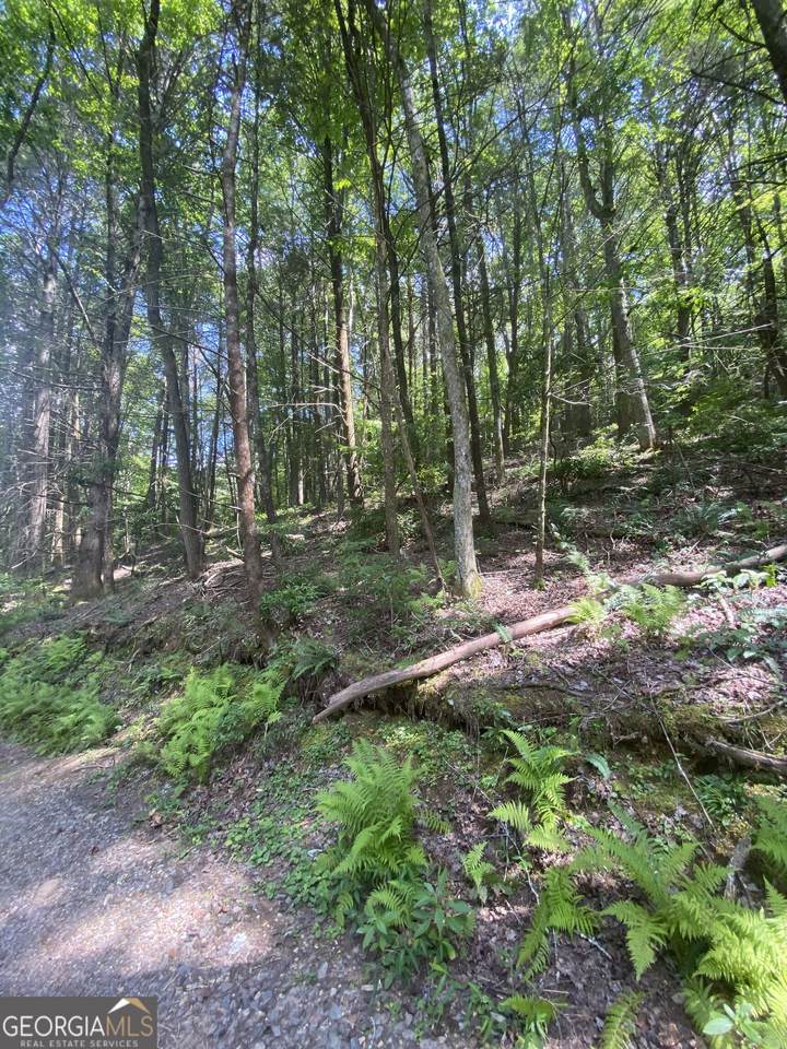 HEMLOCK Hemlock Trail - Photo 1
