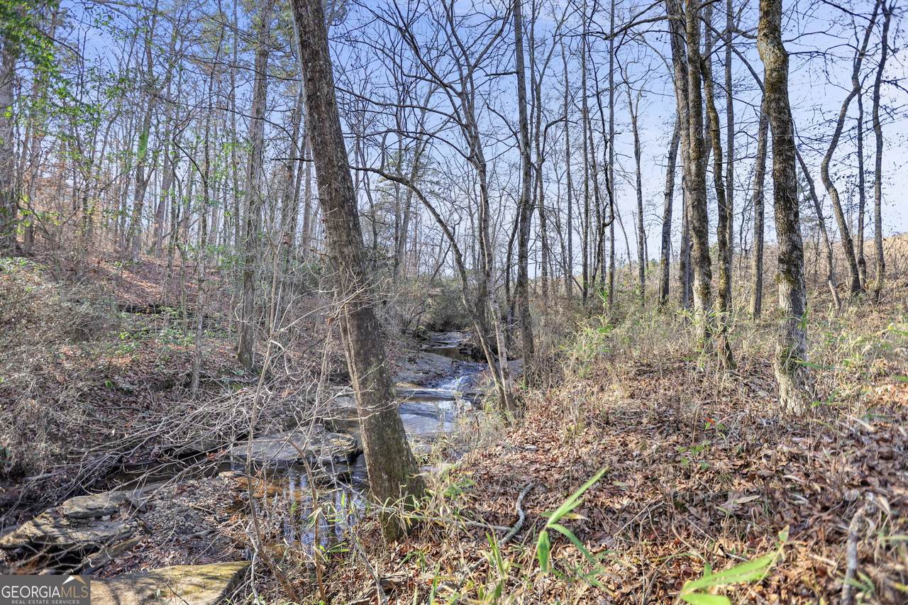 52.2 AC Franklin Parkway - Photo 1