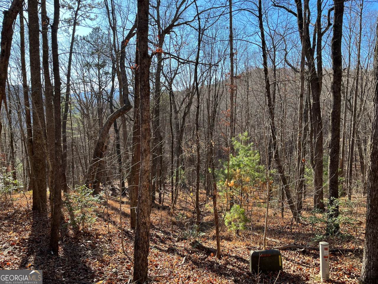 LOT #1 Forest Canopy Way - Photo 1