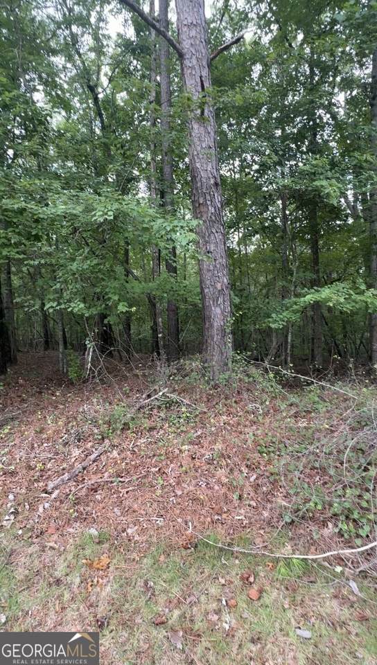 5850 Double Birch - Photo 1