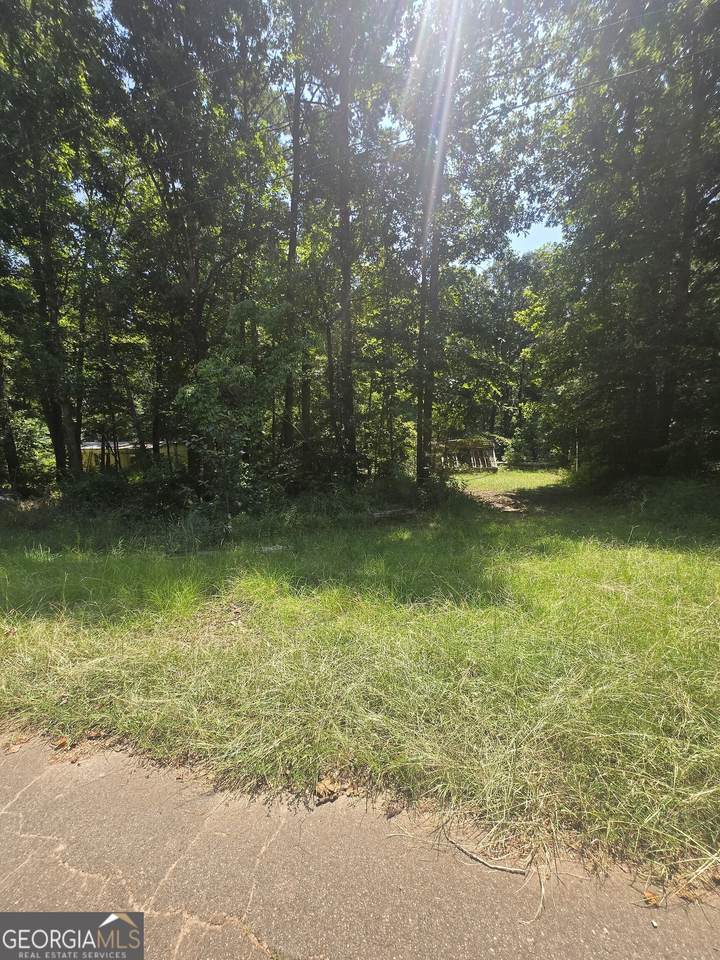0 Ace Drive - Photo 1