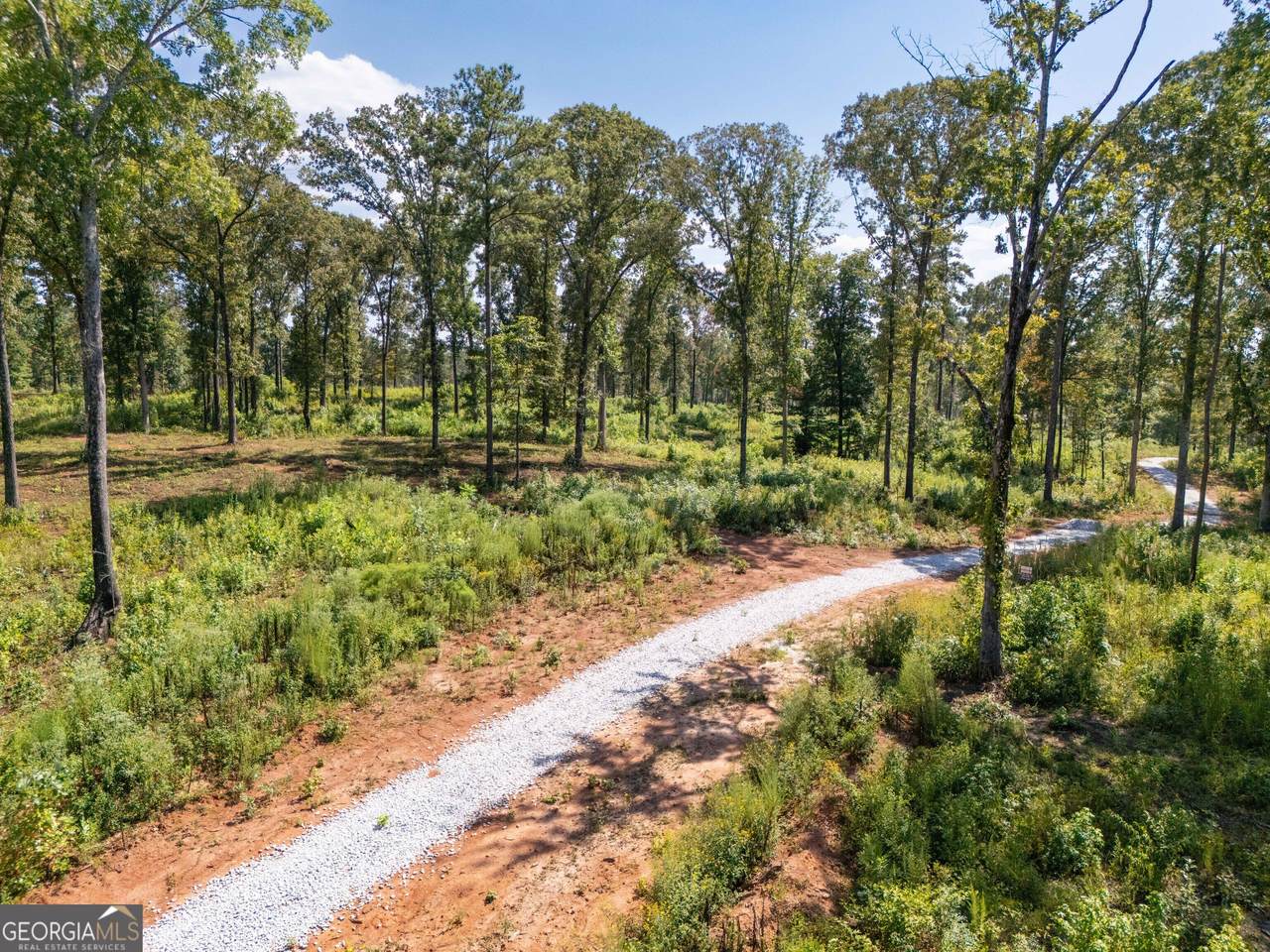 https://bt-photos.global.ssl.fastly.net/gamls/1280_boomver_1_10834819-2.jpg