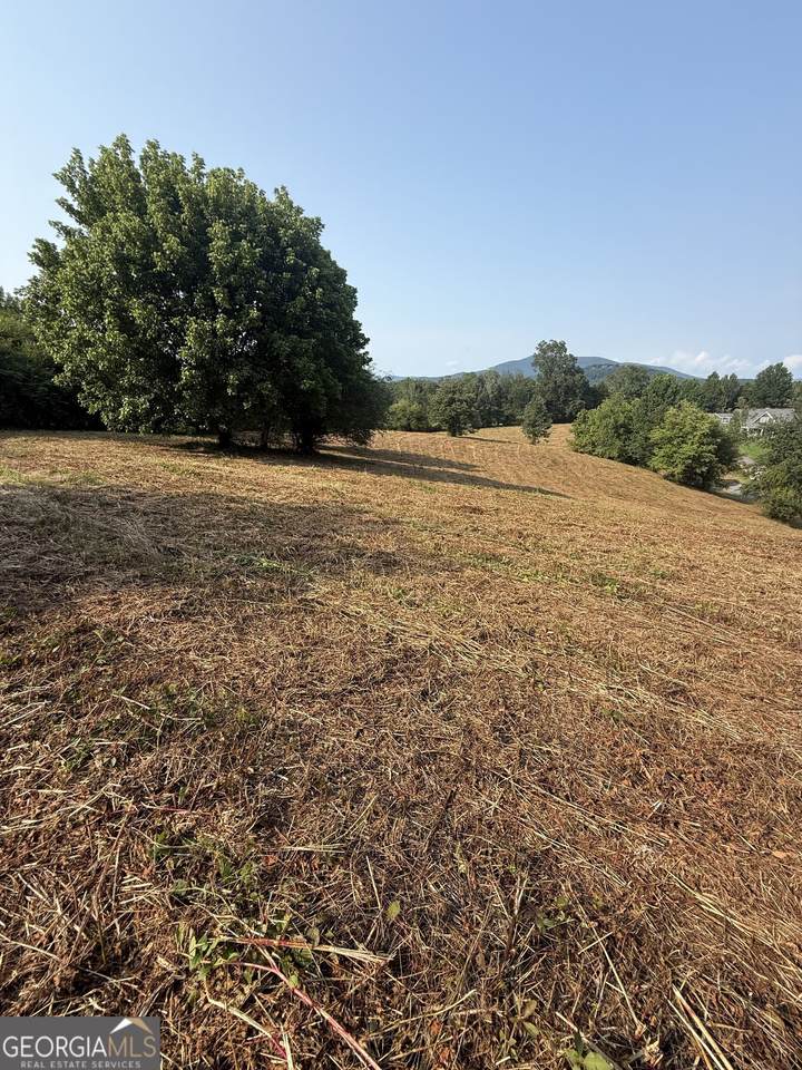0 Ridgemont Lane - Photo 1