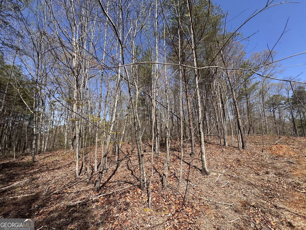 0 Highway 129 - Photo 1