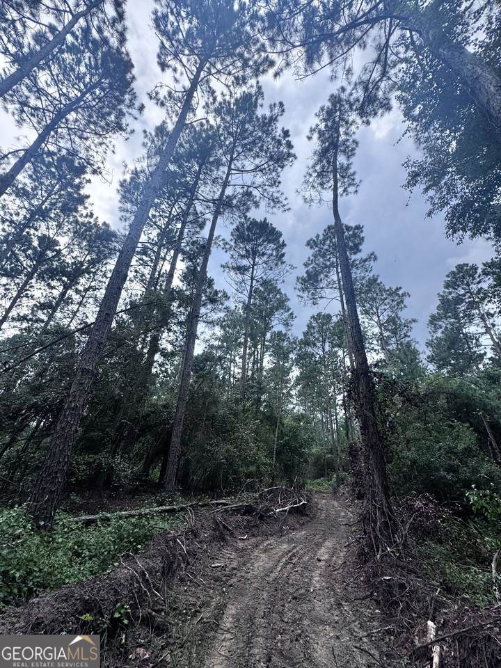 0 Cleon Shuman Road - Photo 1