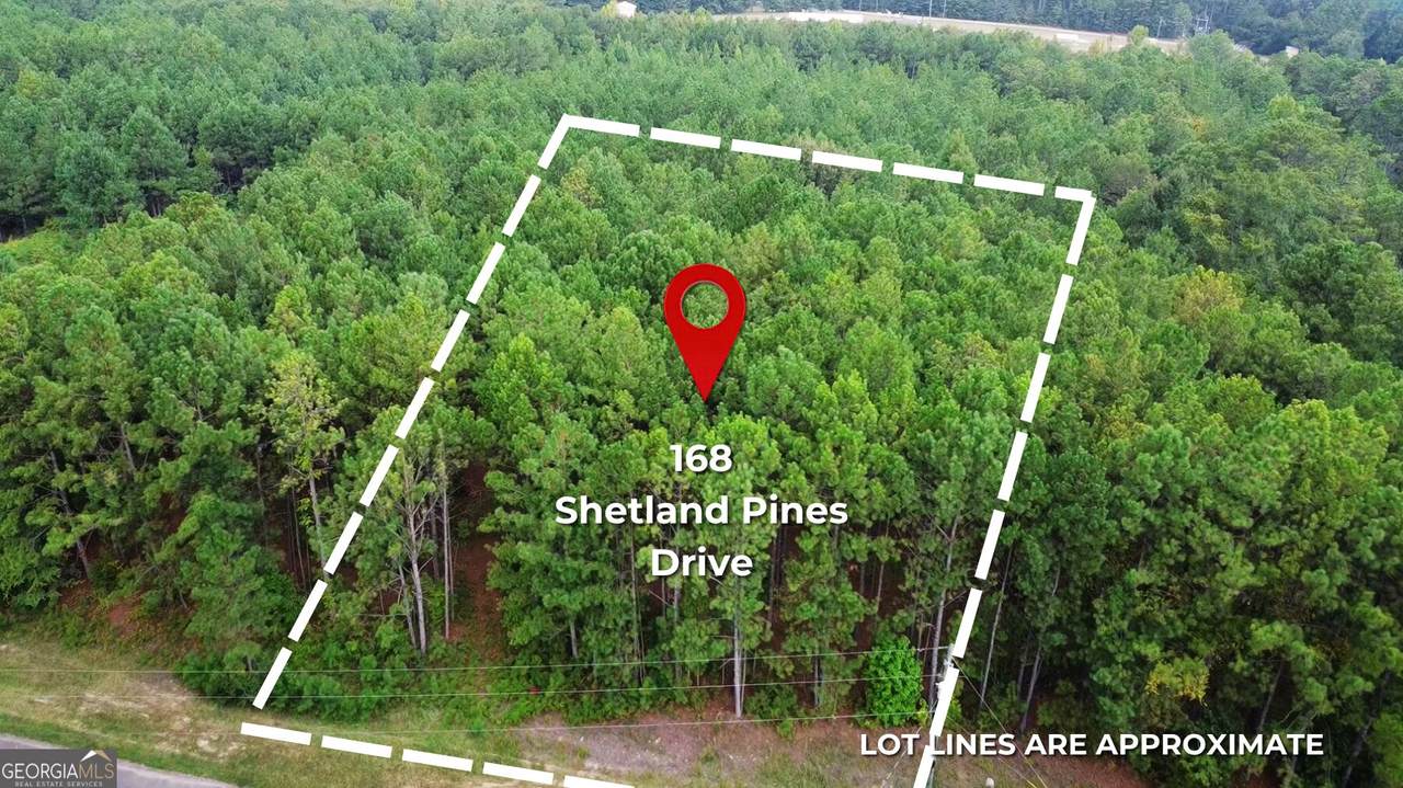168 Shetland Pines Drive - Photo 1