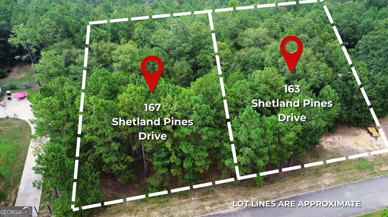 163 Shetland Pines Drive - Photo 1