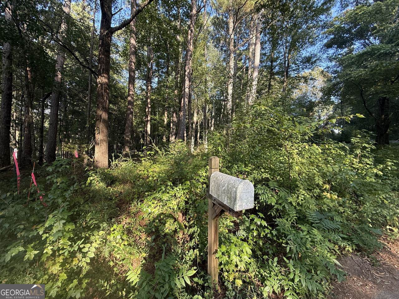 0 Grogan Hill Road - Photo 1