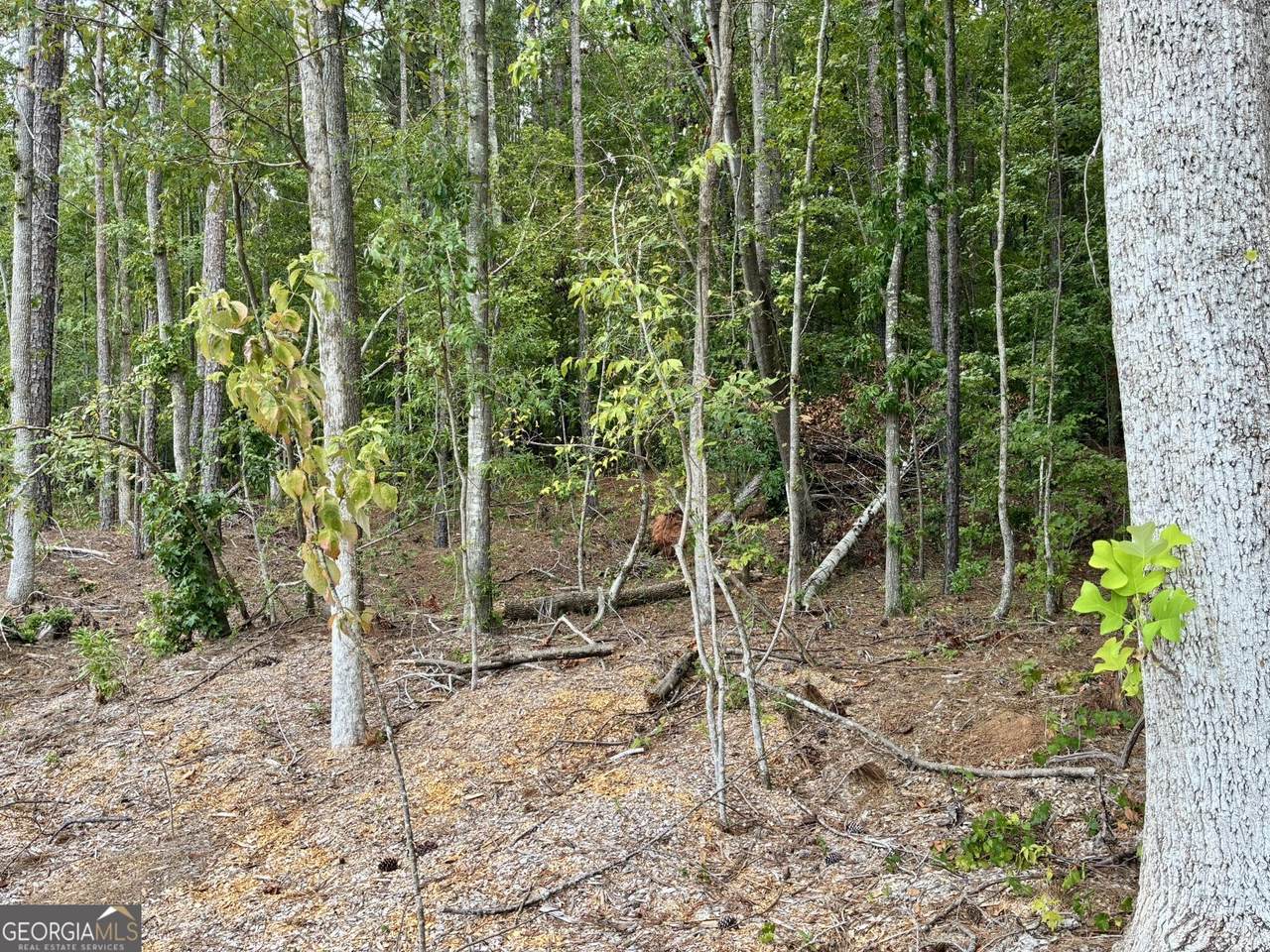 https://bt-photos.global.ssl.fastly.net/gamls/1280_boomver_1_10836094-2.jpg