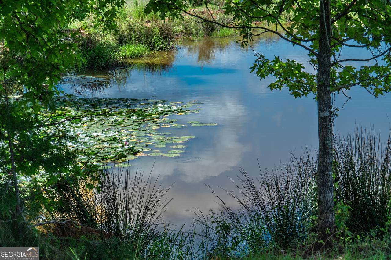 https://bt-photos.global.ssl.fastly.net/gamls/1280_boomver_1_10836097-2.jpg