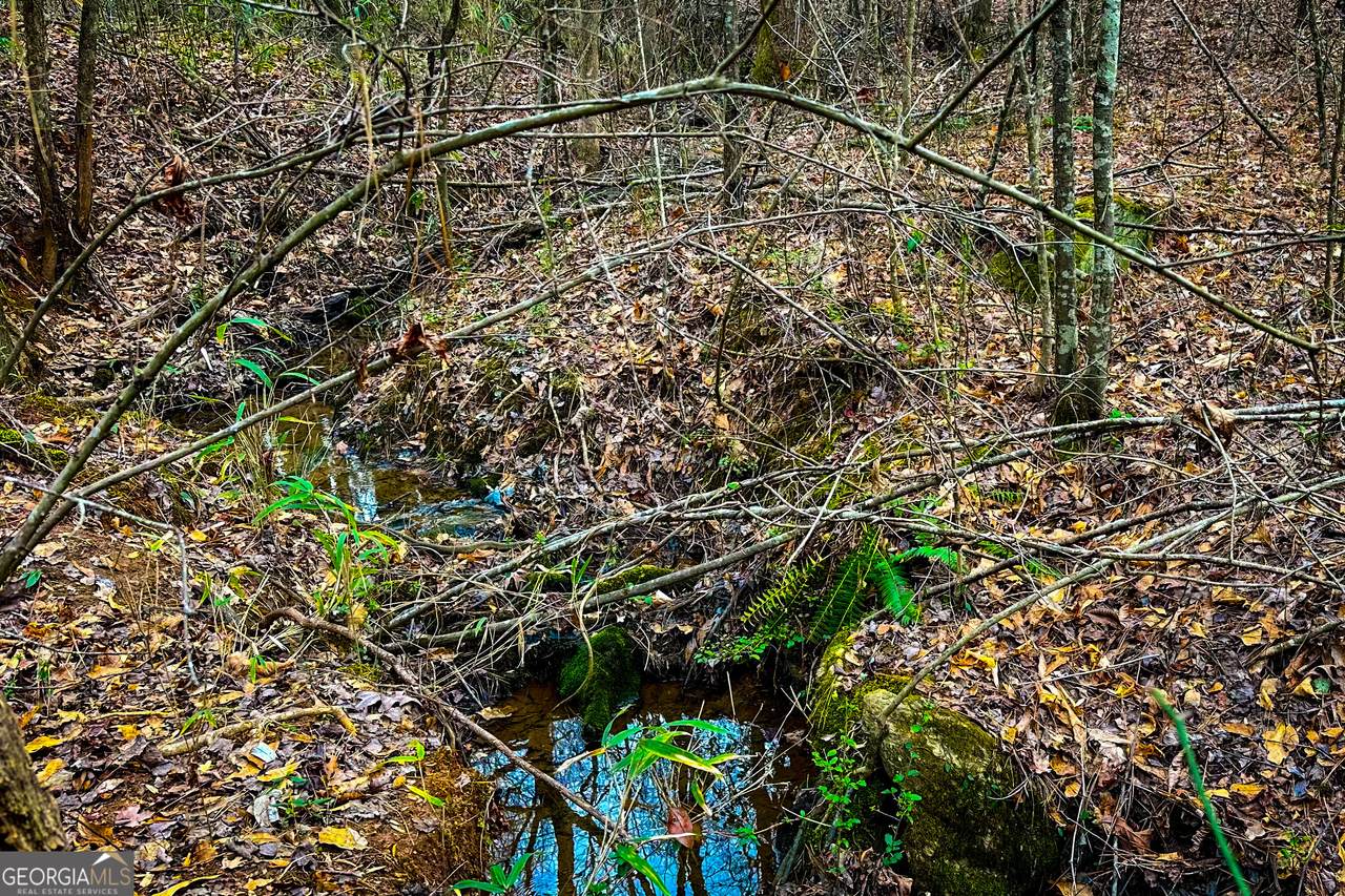 https://bt-photos.global.ssl.fastly.net/gamls/1280_boomver_1_10836130-2.jpg