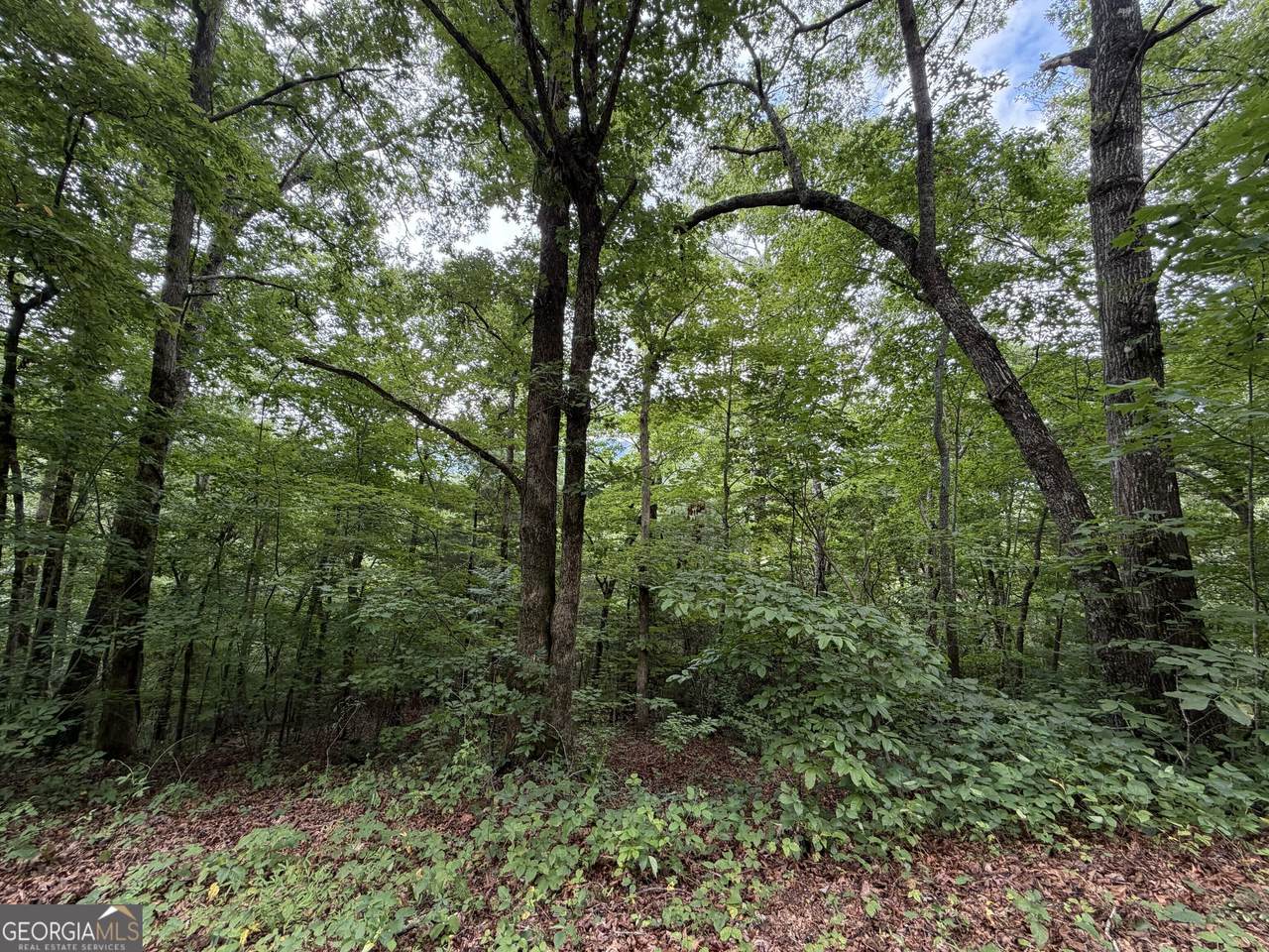 4.63 Twiggs Road - Photo 1