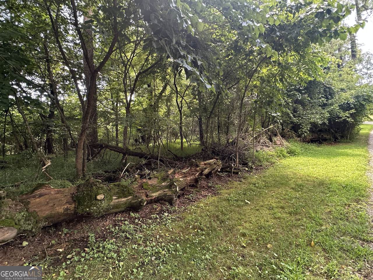 LOTS 5&6 Qualla Terrace - Photo 1