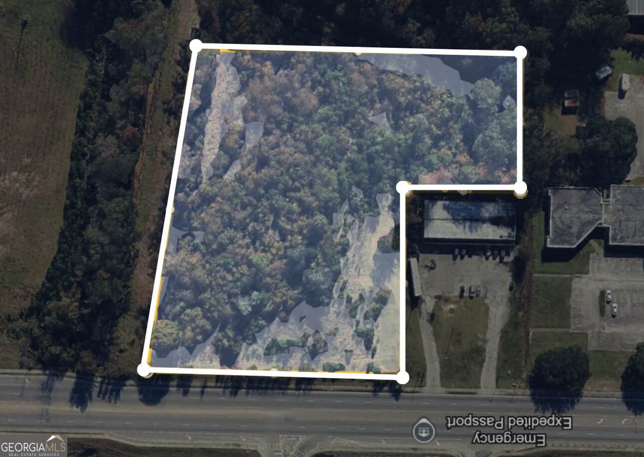 0 E Oglethorpe Highway - Photo 1