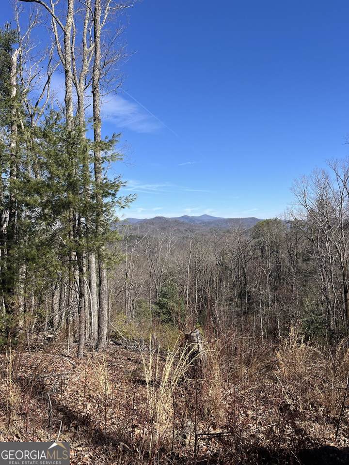 0 Eastman Mtn Road - Photo 1