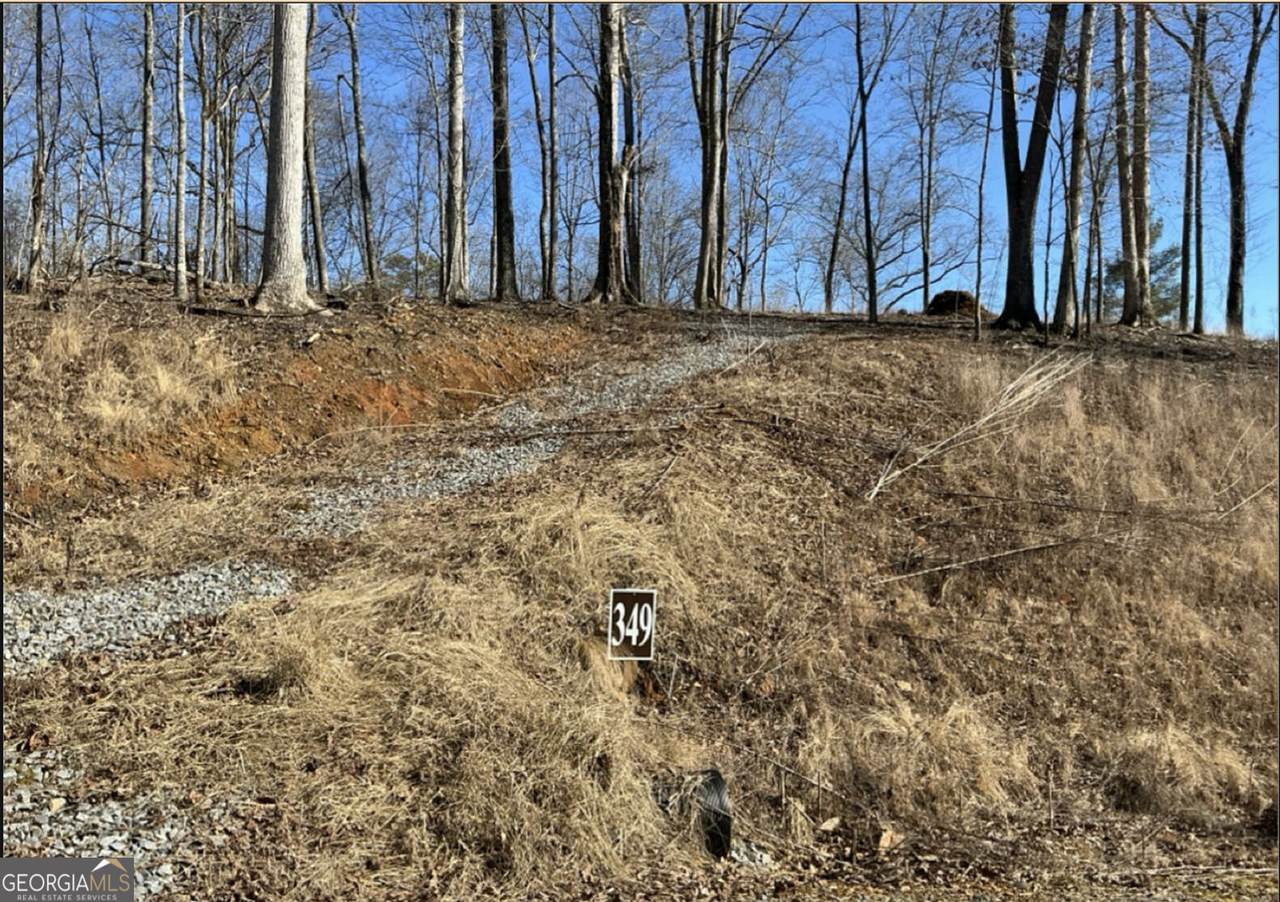 LT 349 Reel Rd - Photo 1