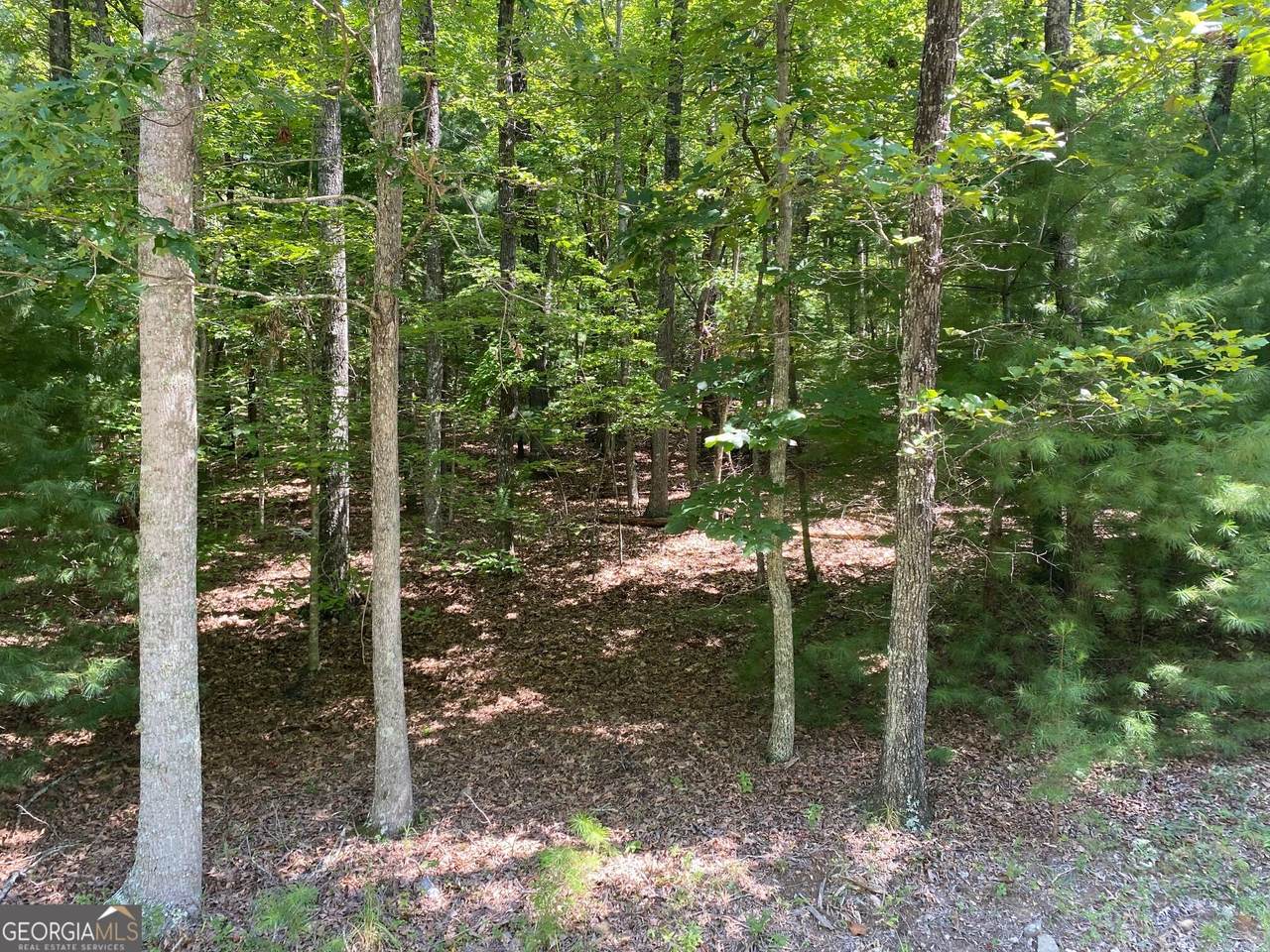 6.93 AC Timber Ridge Road - Photo 1