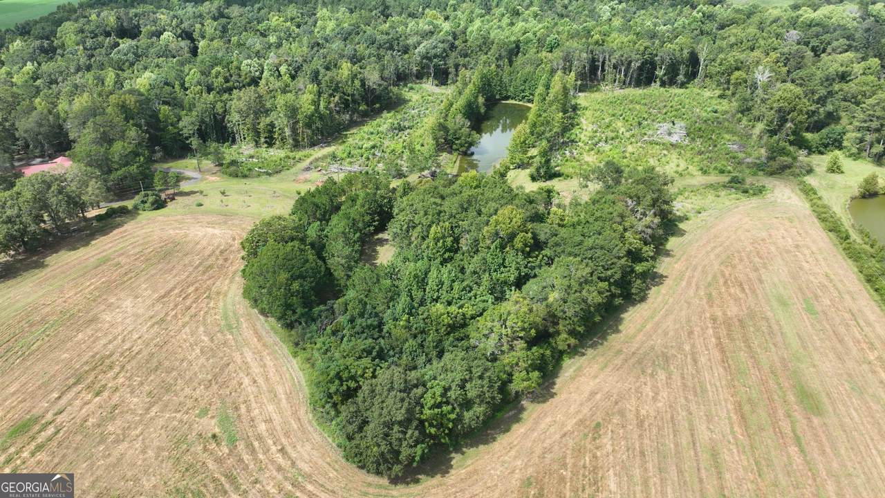 2880 Ga Highway 15 - Photo 1