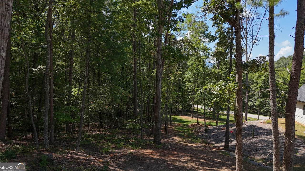 0 Sautee Ridge Road - Photo 1