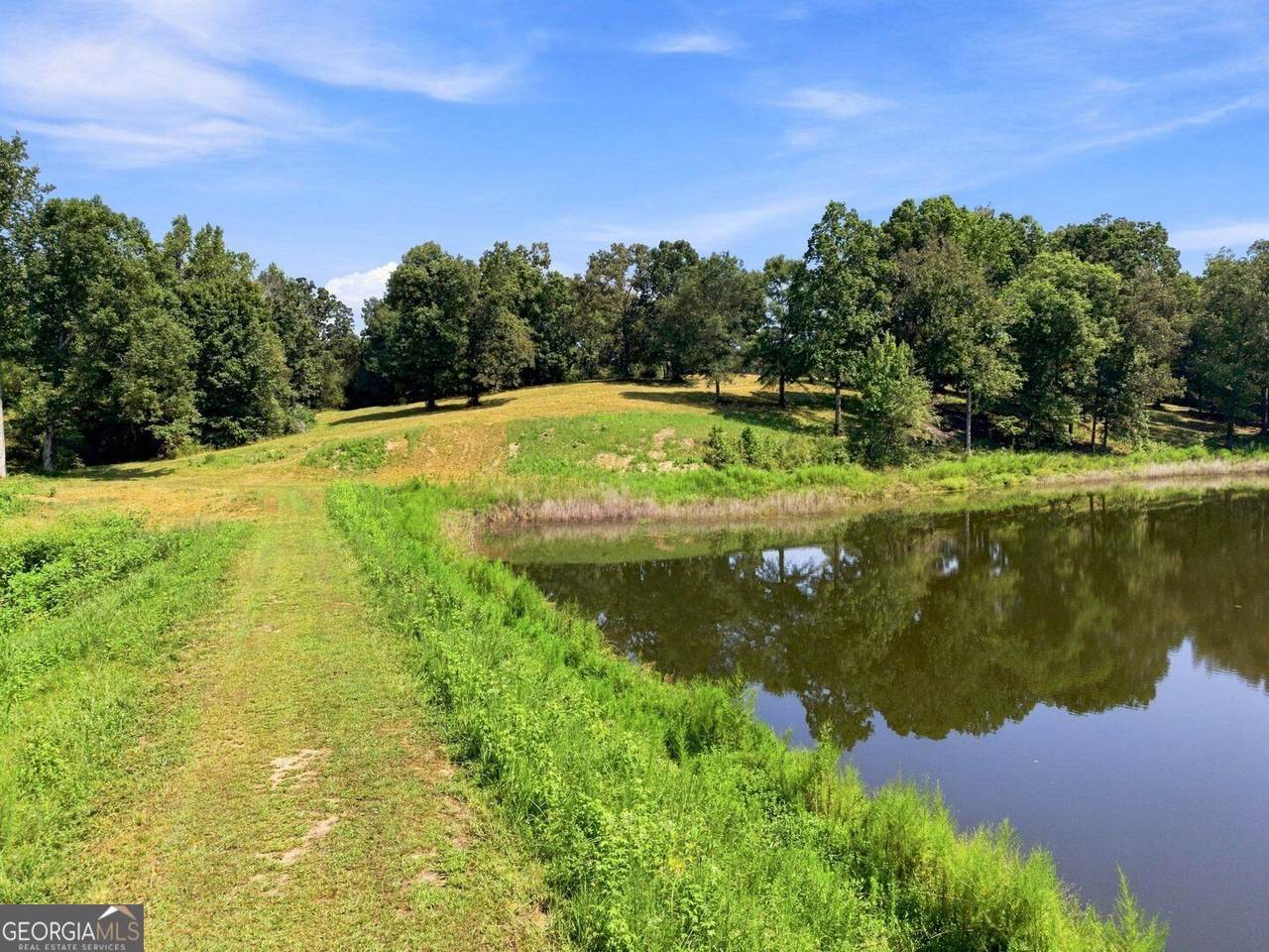 568 Franklin Goldmine Road - Photo 1