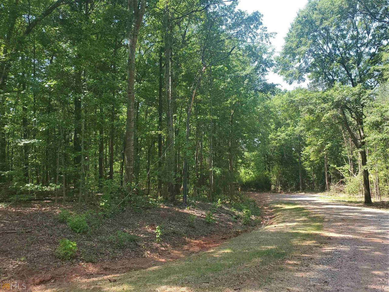 LOT 8 Deer Ridge Drive - Photo 1