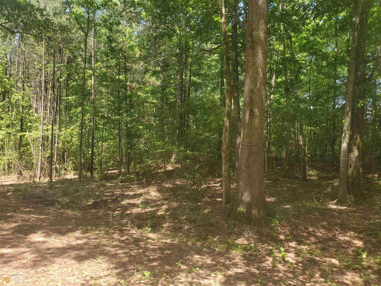 LOT 11 Deer Ridge Drive - Photo 1