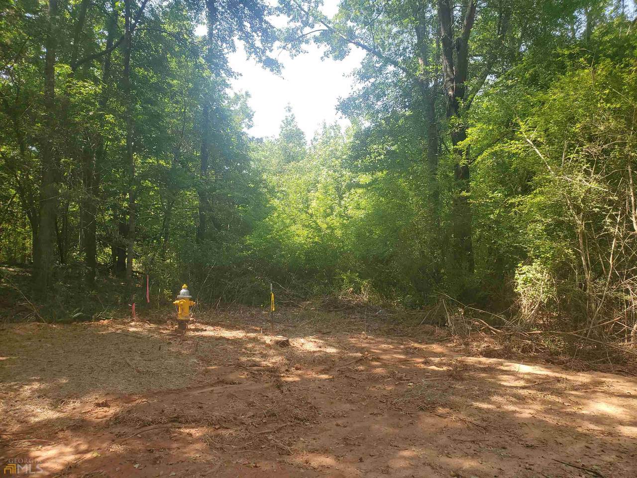 LOT 12 Deer Ridge Drive - Photo 1