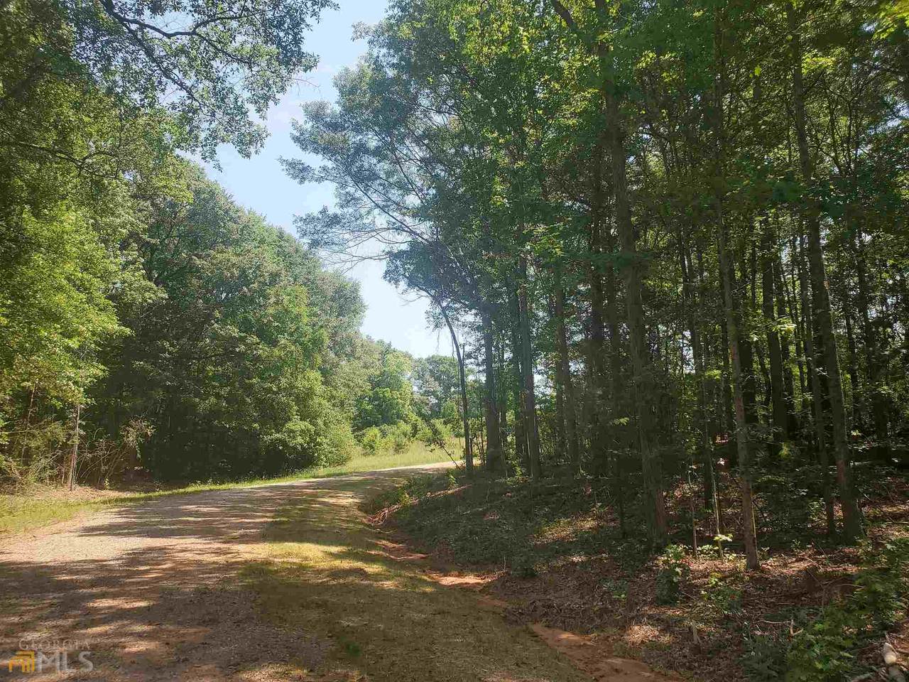 LOT 13 Deer Ridge Drive - Photo 1