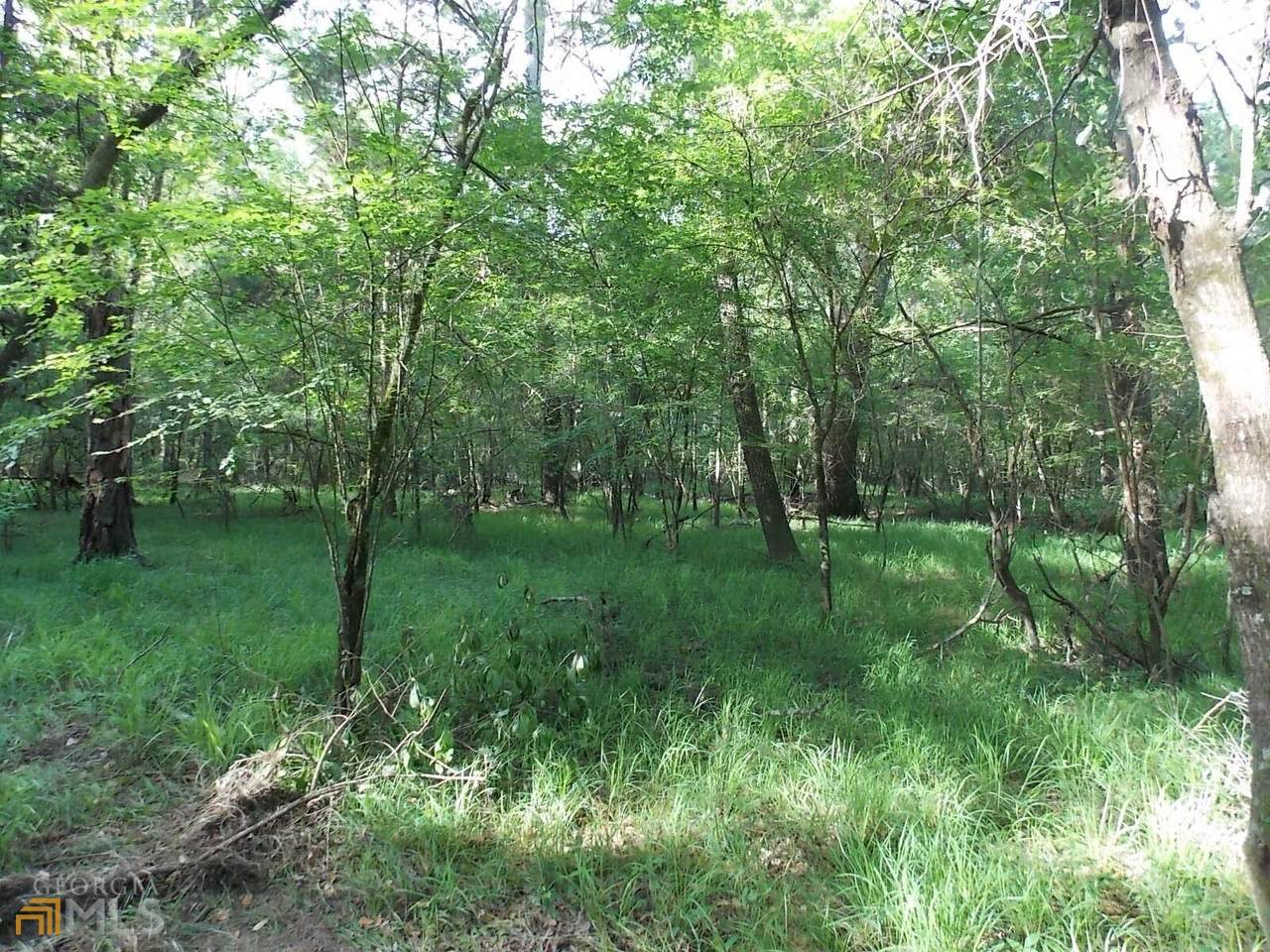 0 Spikes Road - Photo 1