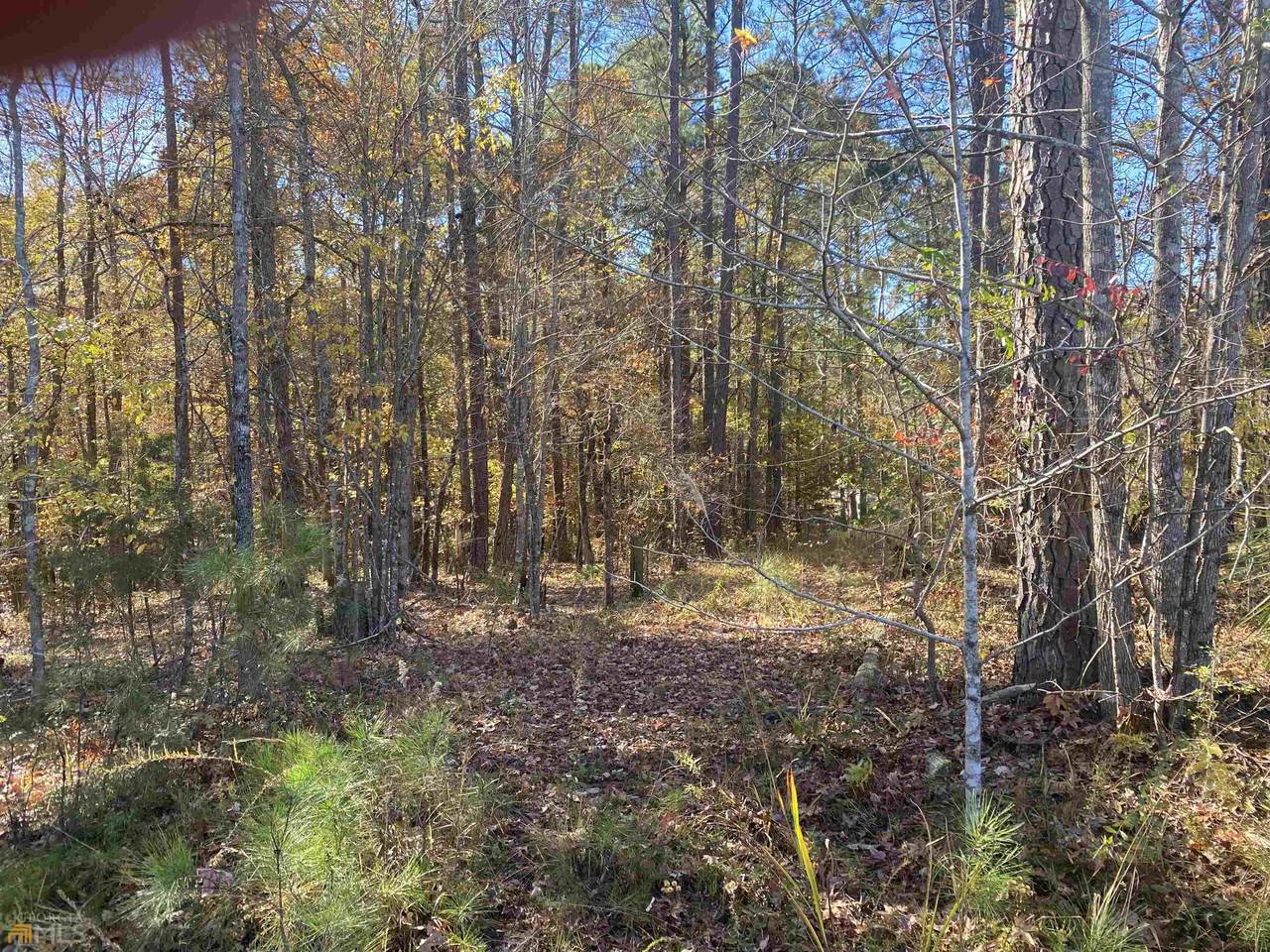 0.99 Lakeshore Estates Dr - Photo 1