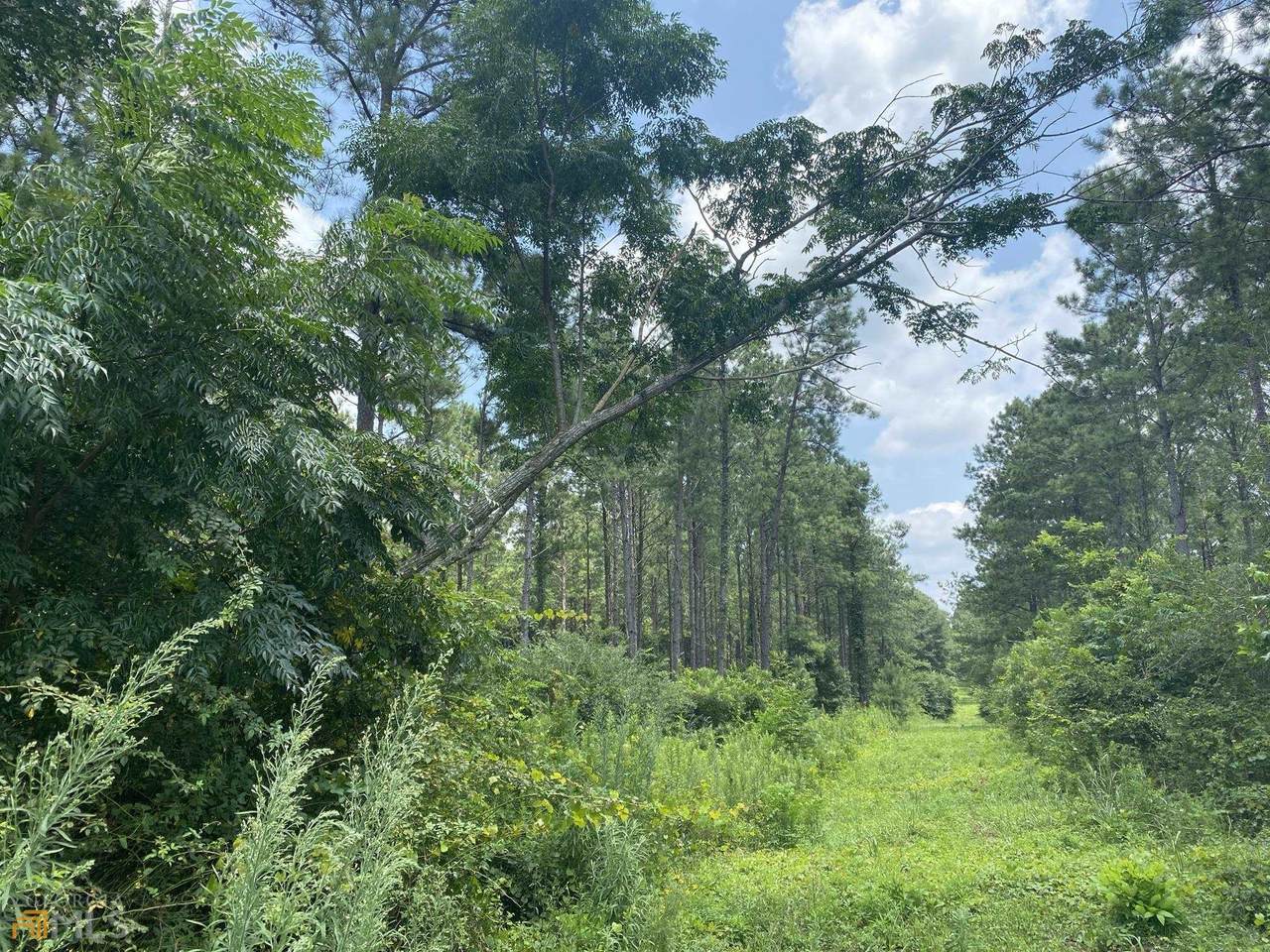 0 Ga Hwy 280 - Photo 1