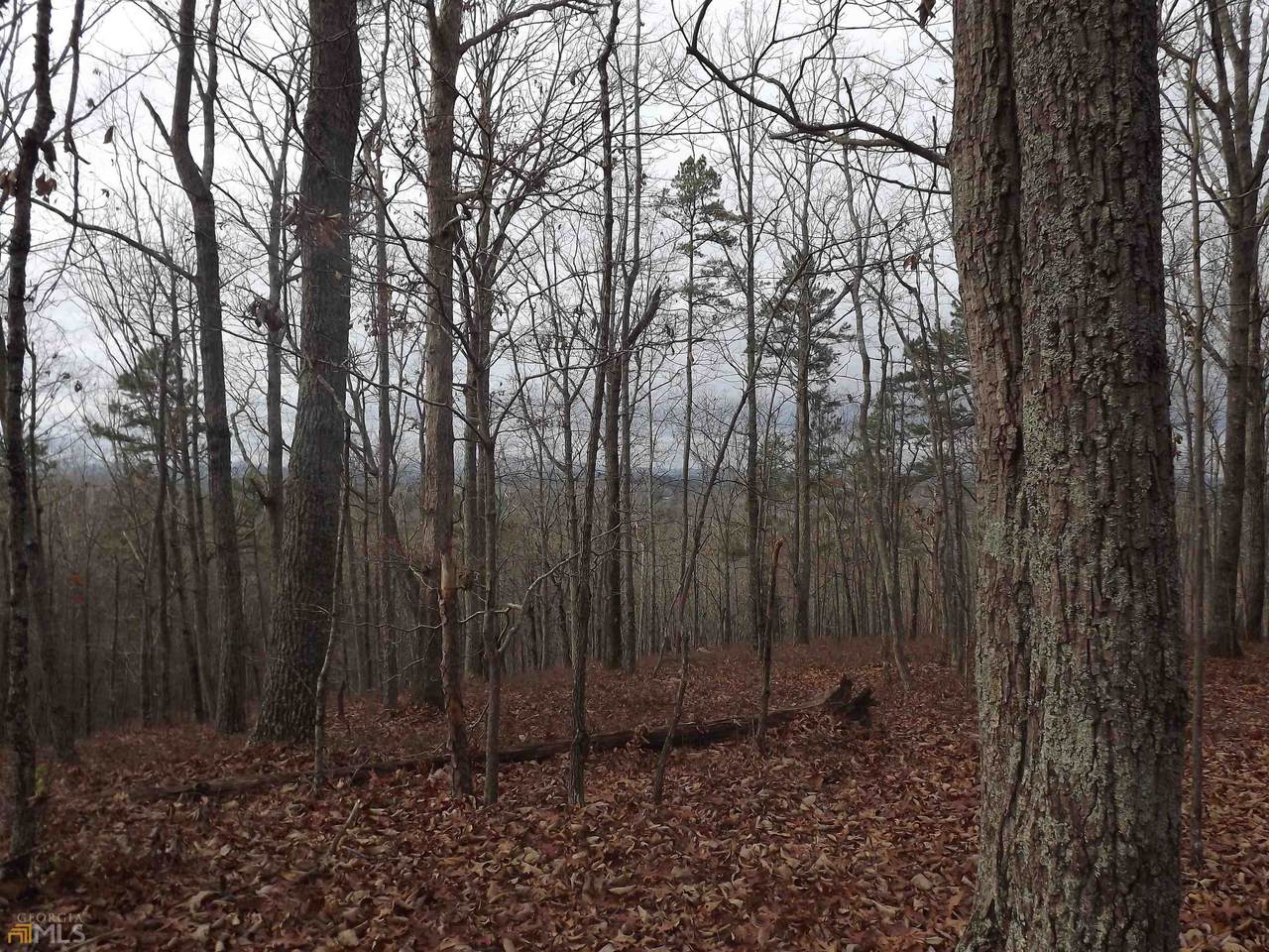 0 Mckibben Road - Photo 1