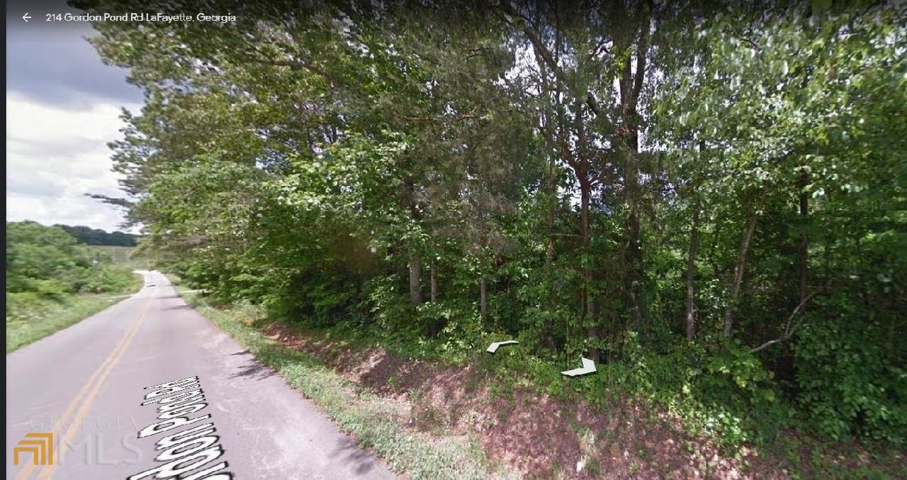0 Gordon Pond Rd - Photo 1