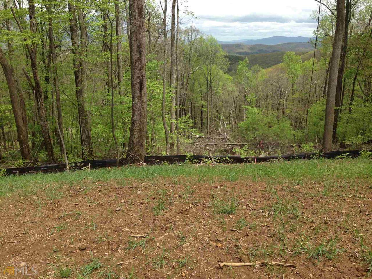 0 Andes Ridge - Lt 282 Ridge - Photo 1