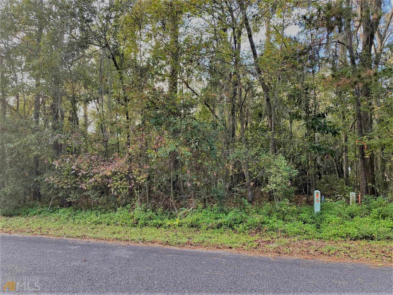 0 Riverview Drive - Photo 1