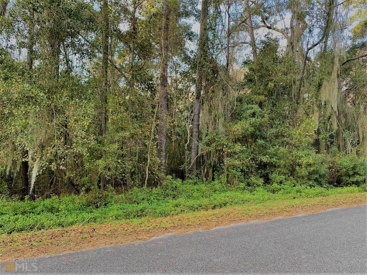 0 Riverview Drive - Photo 1