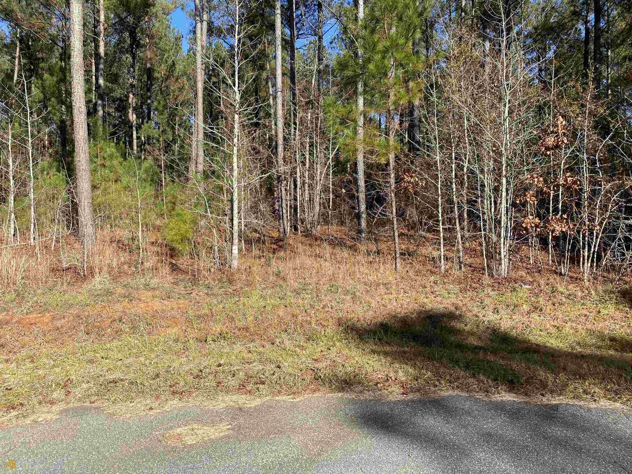 LOT 111 PHASE C Dock Side Ln Road - Photo 1