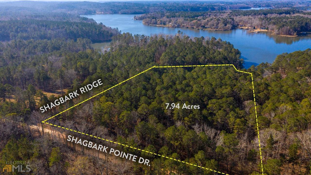 0 Shagbark Pointe Drive - Photo 1