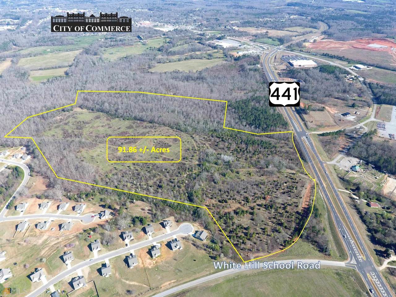 0 White Hill School Road & Hwy 441 - Photo 1