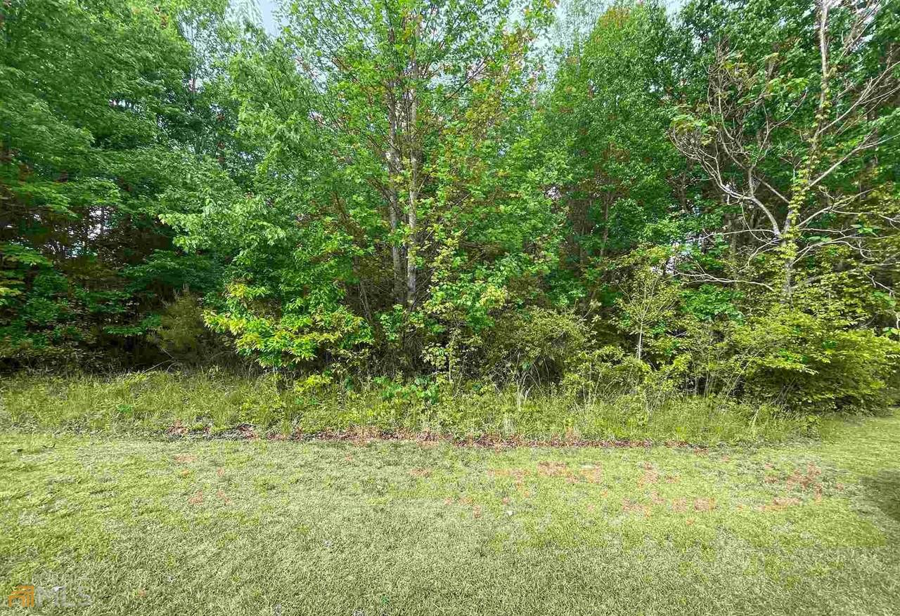 0 Shenandoah Drive - Photo 1