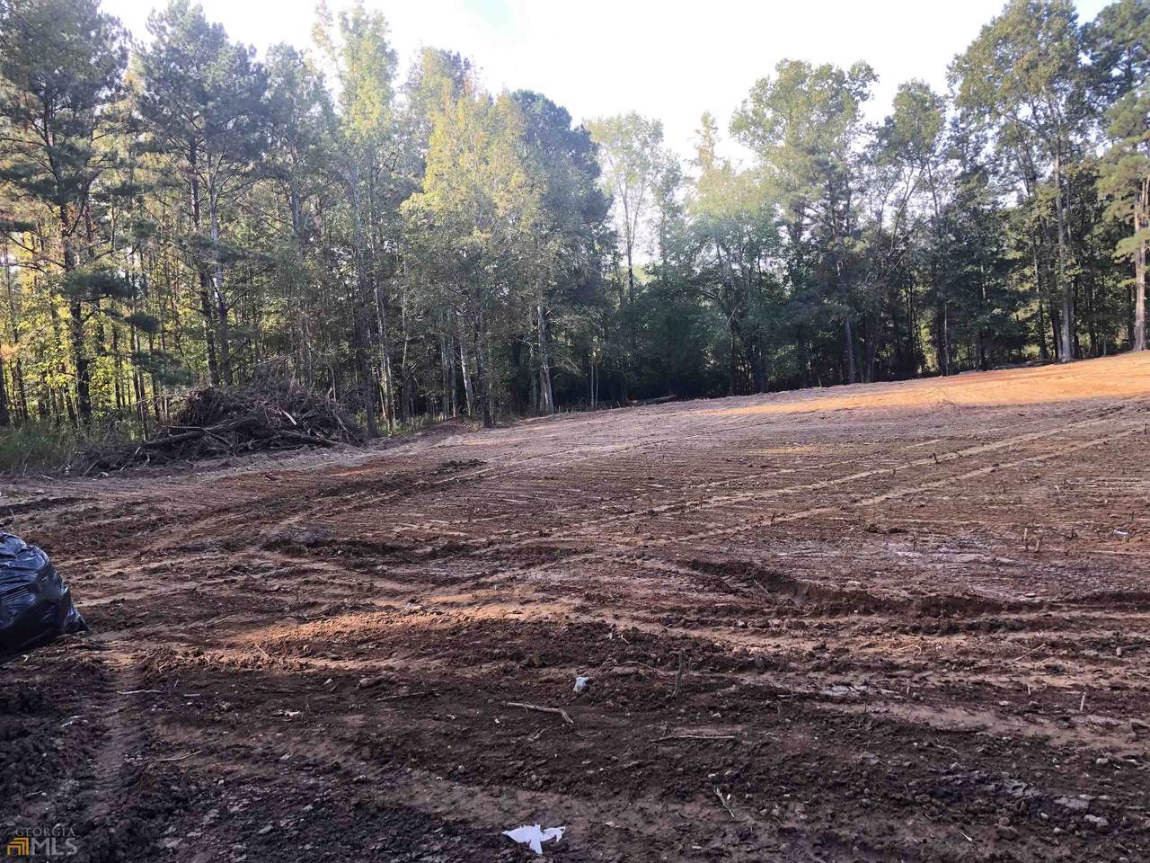 1419 Rock Springs Road - Photo 1