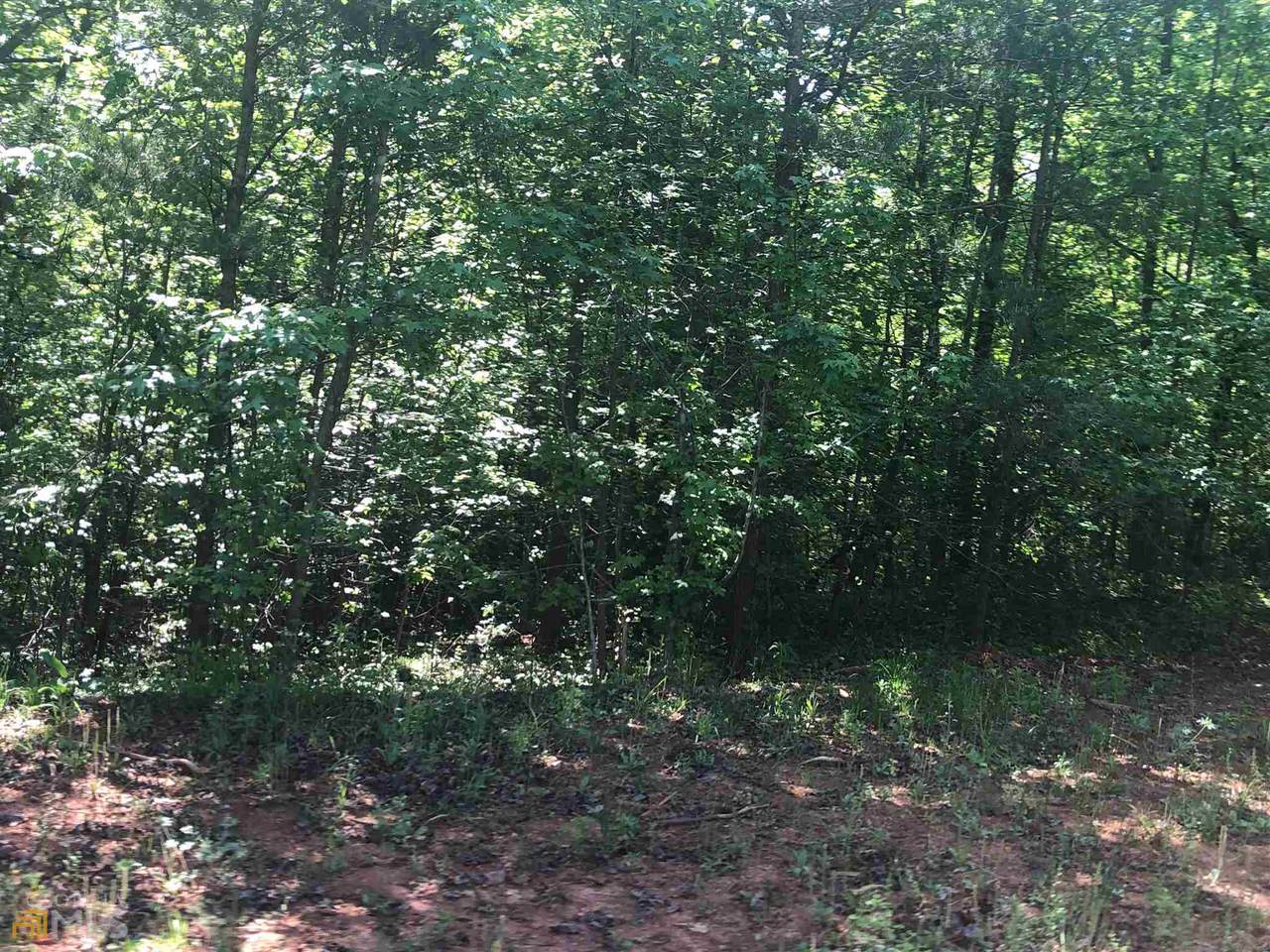 0 Samson Way - Photo 1