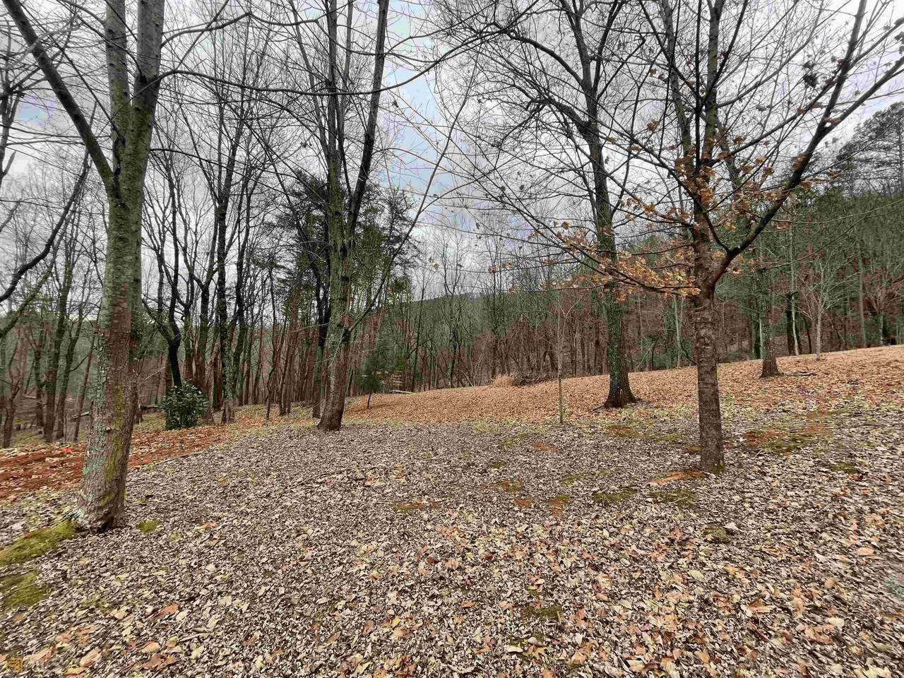 573 Eagle Rock Road - Photo 1