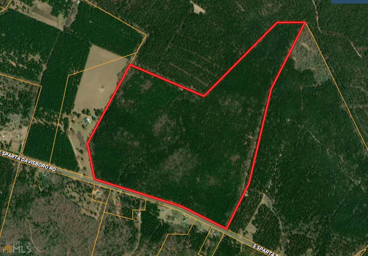 0 Sparta Davisboro Road - Photo 1