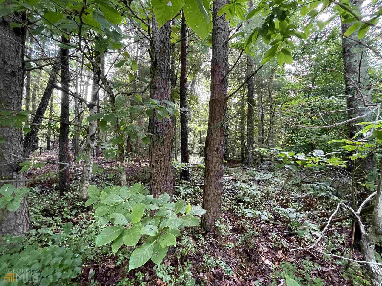 0 Jackson Circle - Photo 1